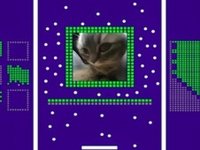 Brick Breaker Cat Arcade Game